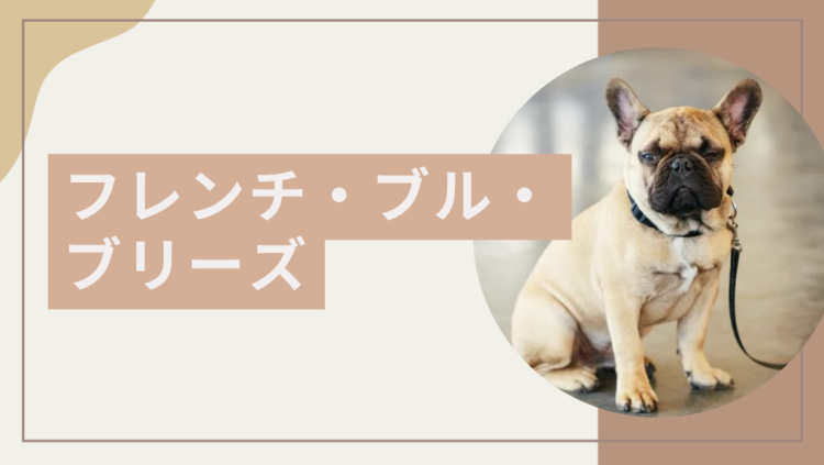 フレンチ・ブル・ブリーズ